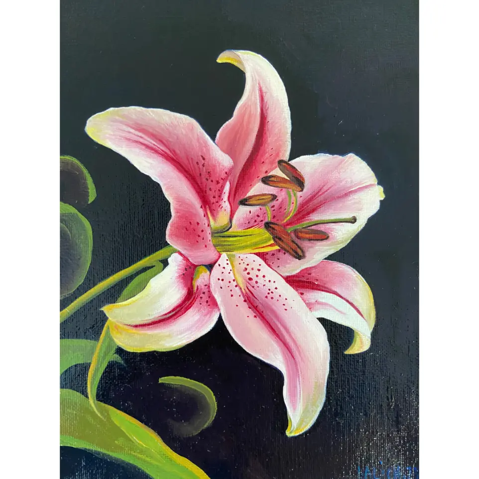Pink Lily Study oil painting by Laura Alich